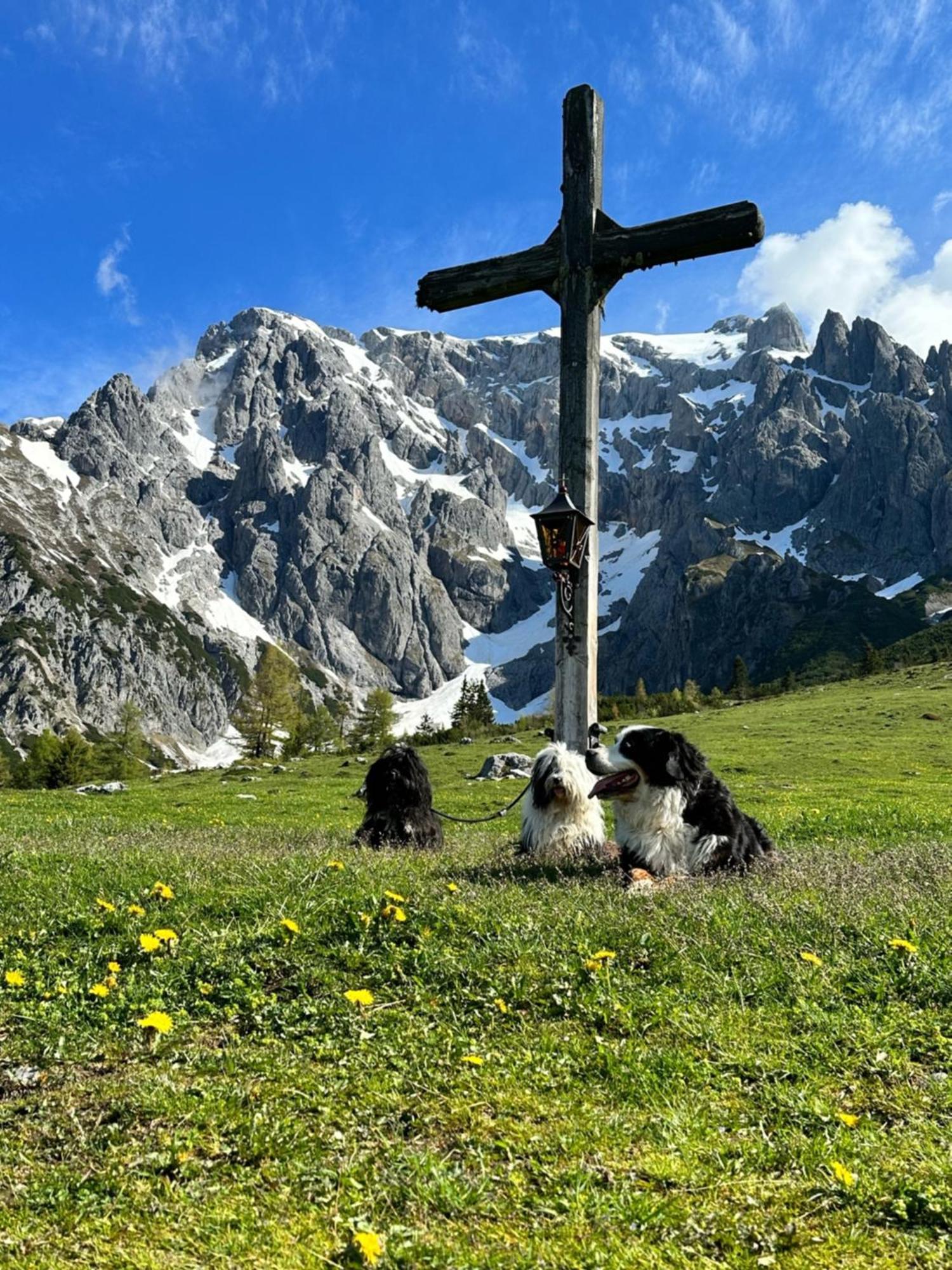 Apart Ursus Hinterthal Maria Alm am Steinernen Meer Exteriér fotografie