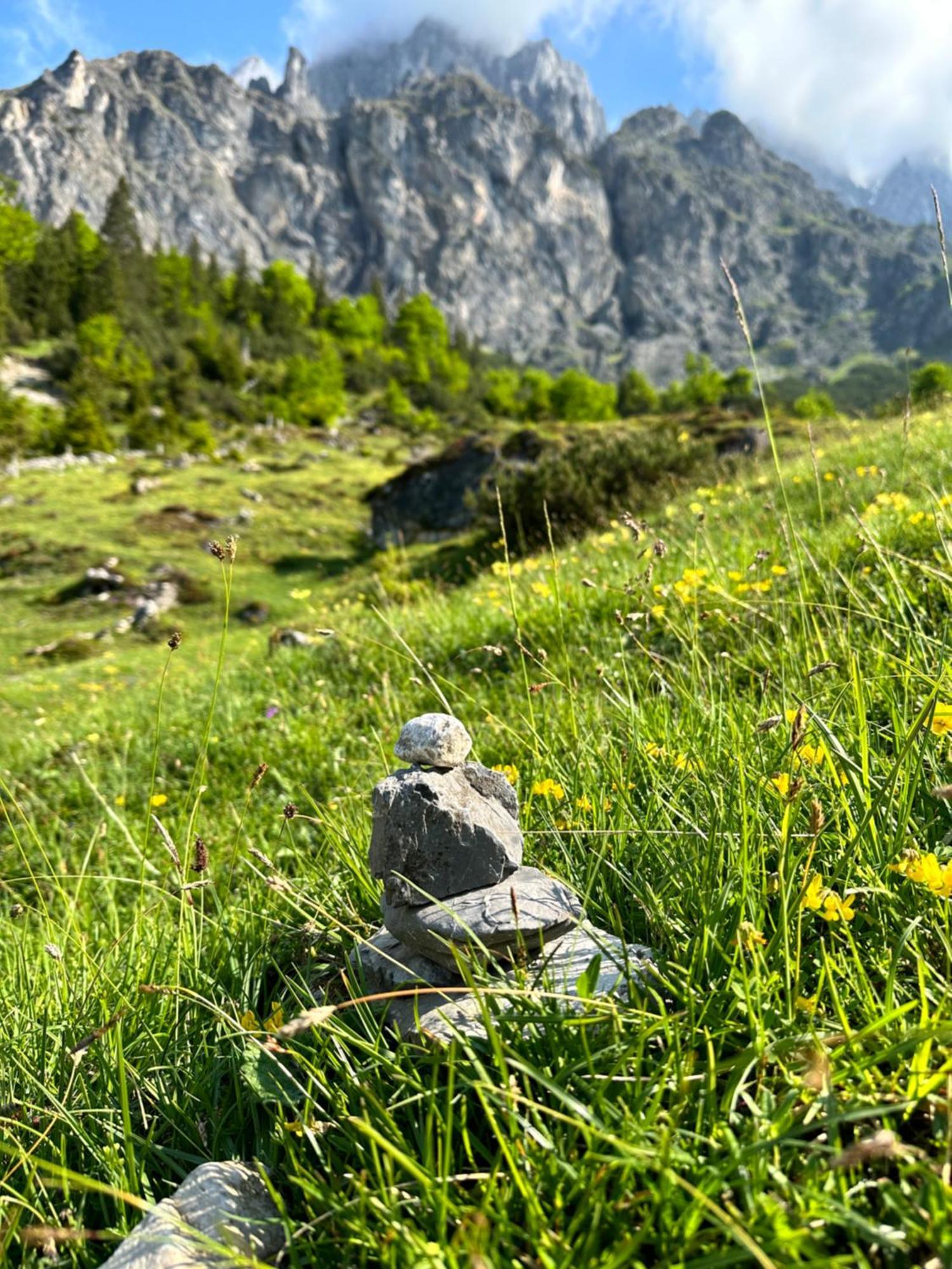 Apart Ursus Hinterthal Maria Alm am Steinernen Meer Exteriér fotografie