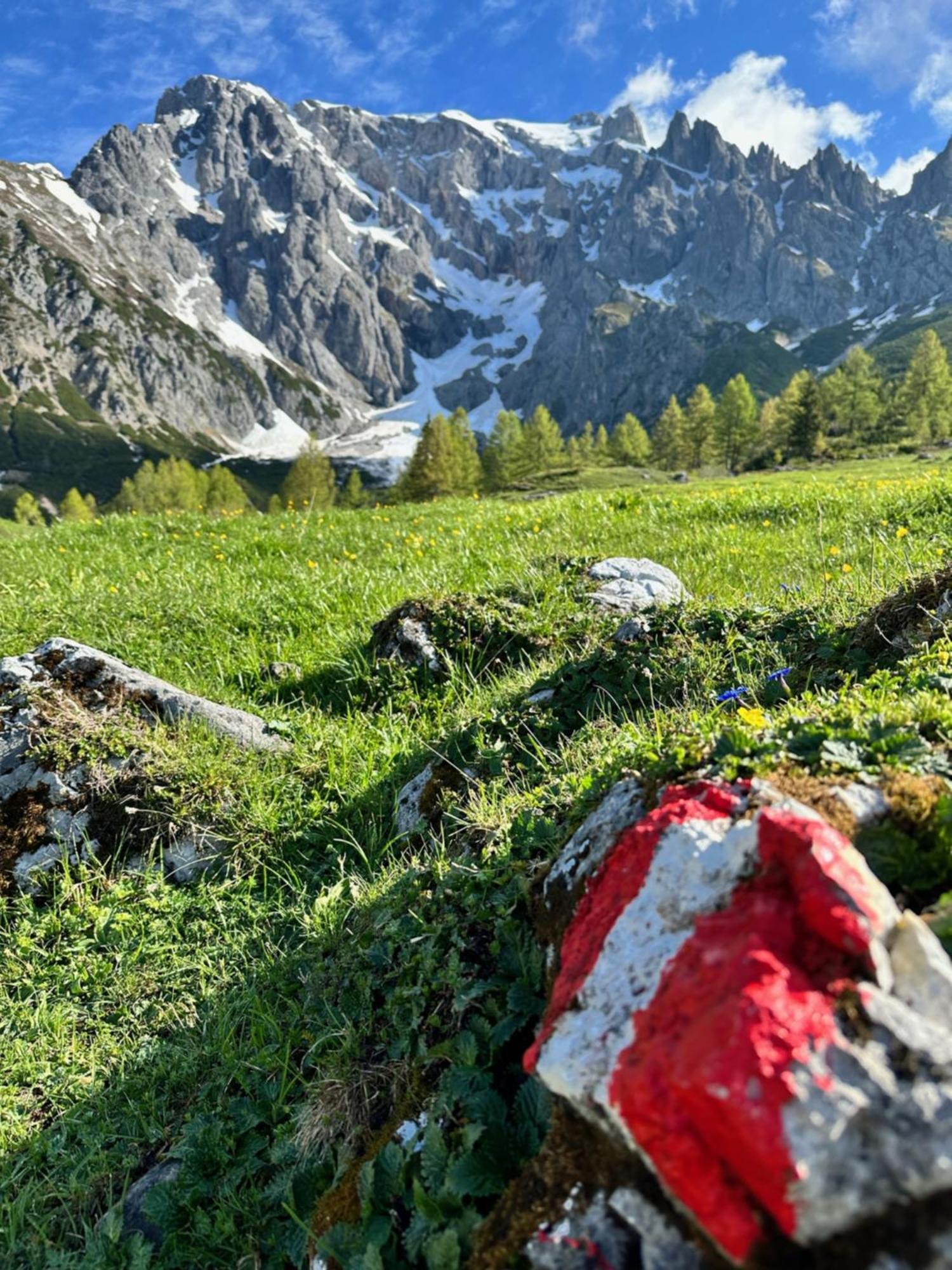 Apart Ursus Hinterthal Maria Alm am Steinernen Meer Exteriér fotografie